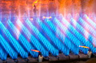 Charney Bassett gas fired boilers